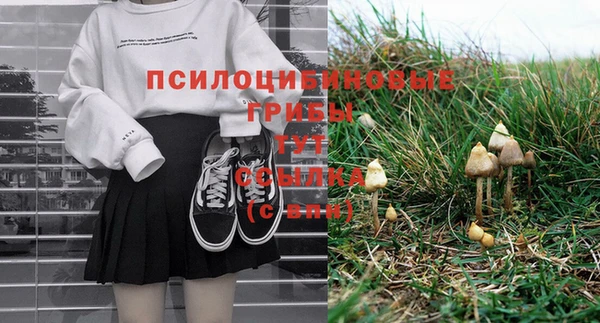 mdpv Верея